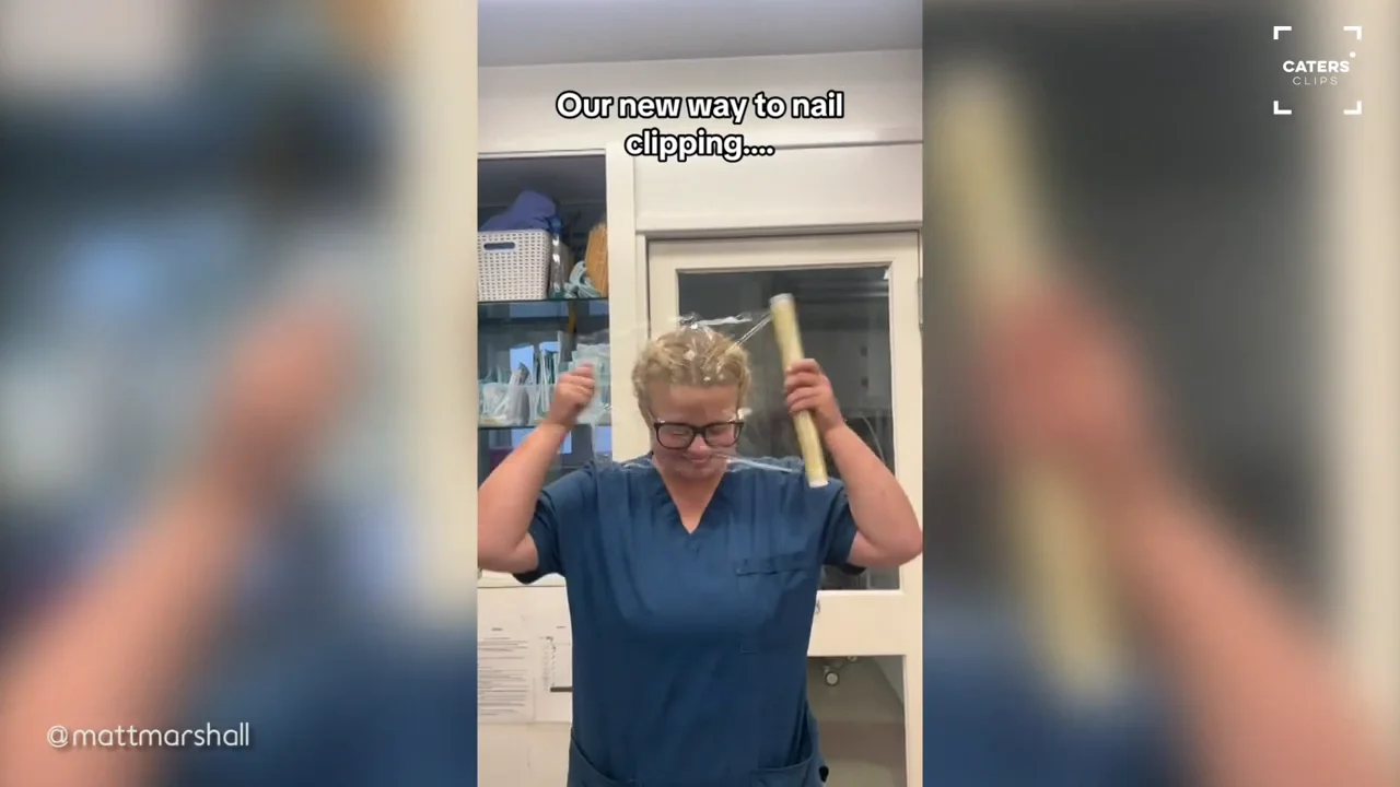 El genial truco de esta perruquer&iacute;a para conseguir cortarle facilmente las u&ntilde;as a los perros