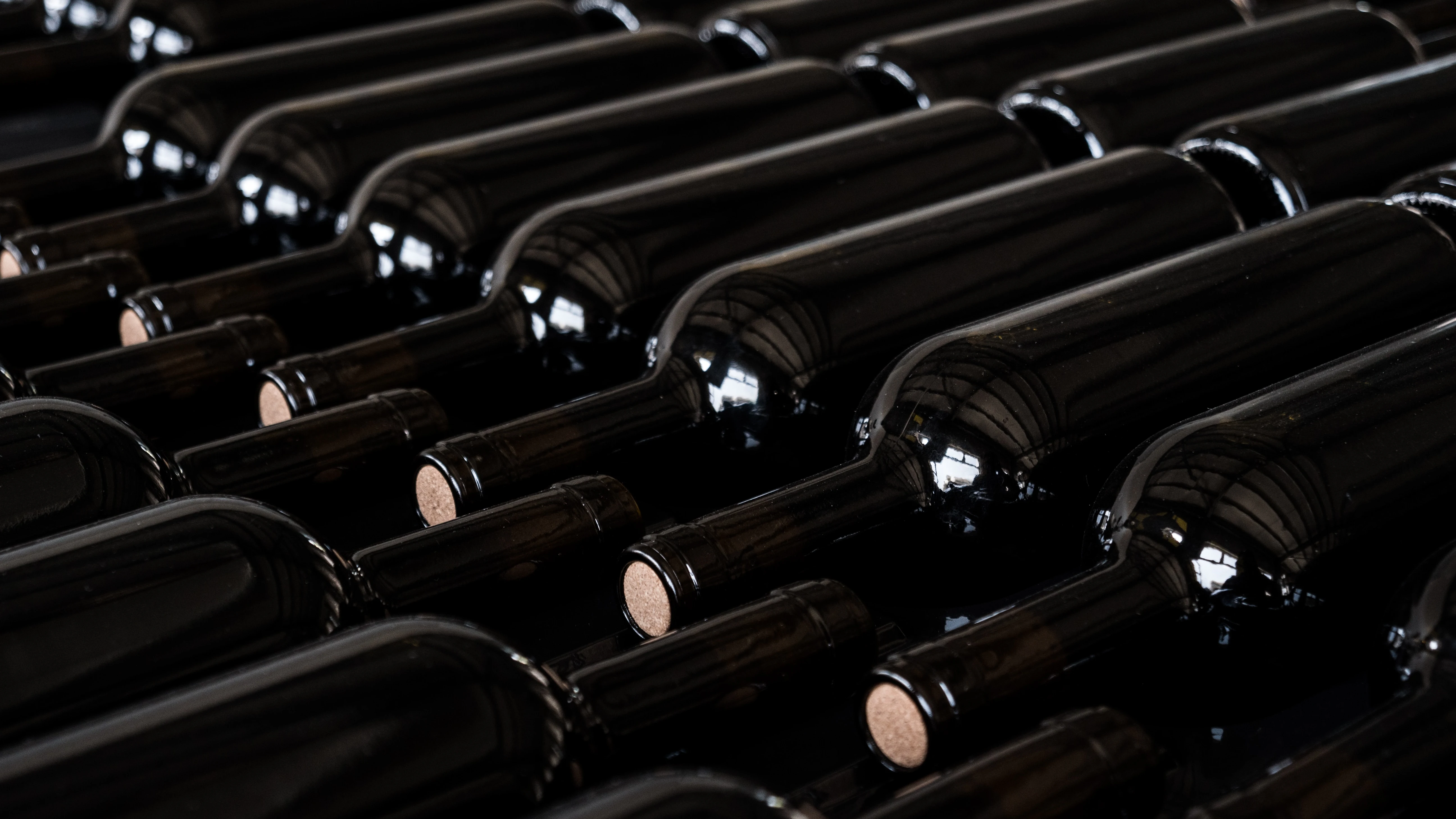 Botellas de vino (archivo)