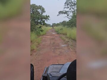 Un elefante enfadado carga contra un jeep al que se le rompe el motor en un Safari