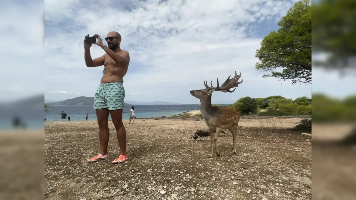 Un turista intenta hacerse un selfie con un alce y acaba con varias costillas rotas Un turista intenta hacerse un selfie con un alce y acaba con varias costillas rotas