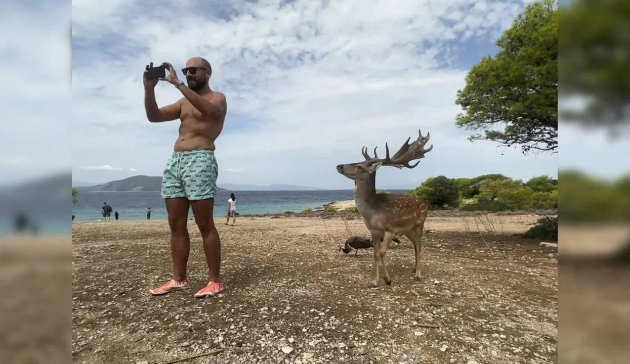 Un turista intenta hacerse un selfie con un alce y acaba con varias costillas rotas