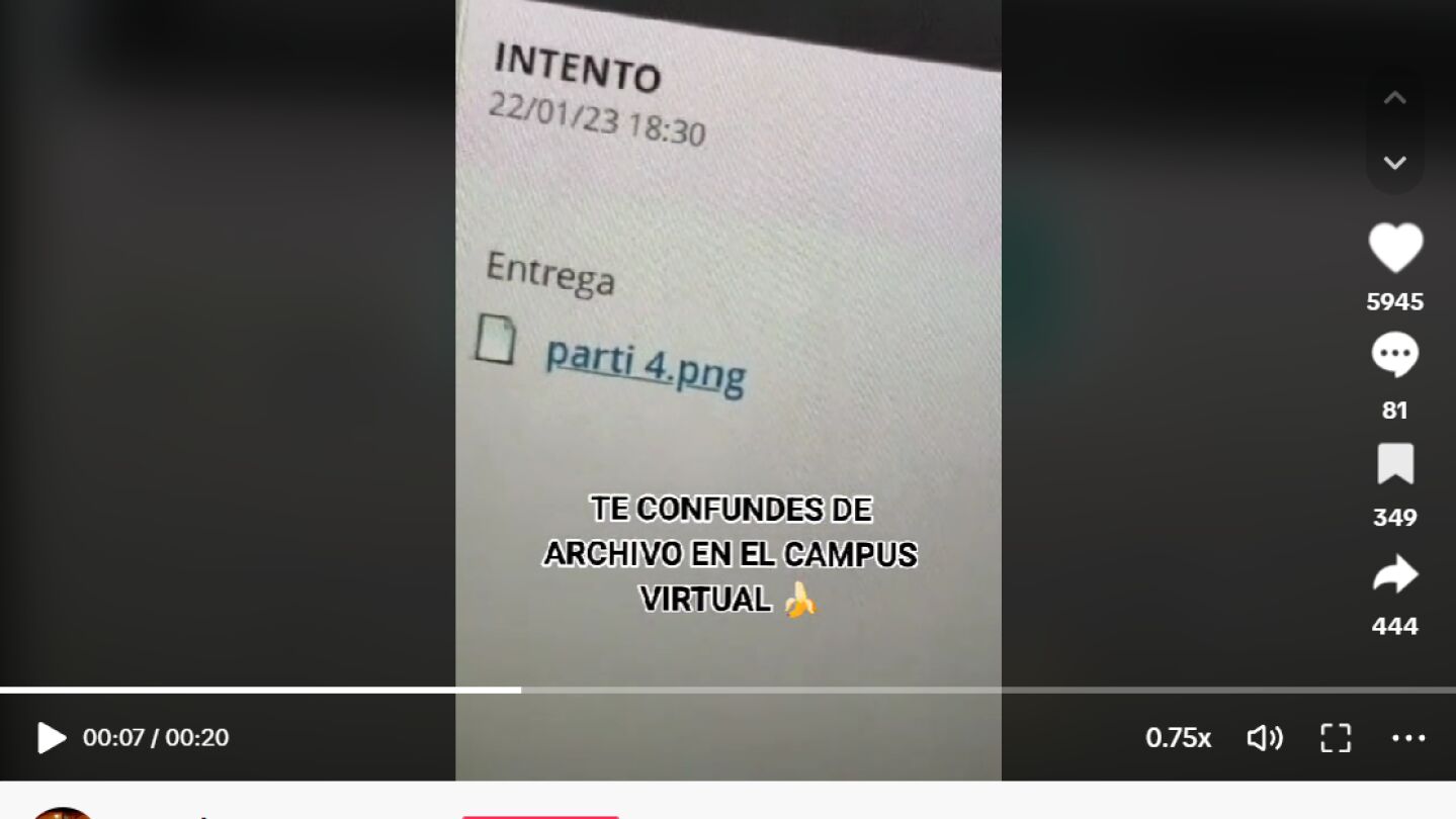 Pantallazo del tiktok de @saaraborr