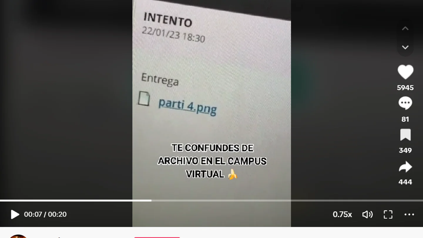 Pantallazo del tiktok de @saaraborr Pantallazo del tiktok de @saaraborr
