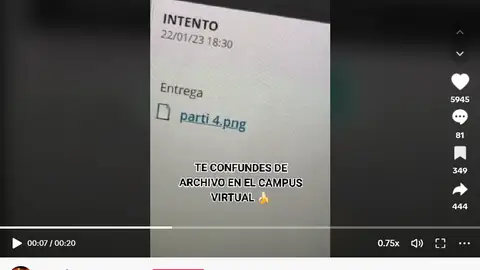 Pantallazo del tiktok de @saaraborr Pantallazo del tiktok de @saaraborr