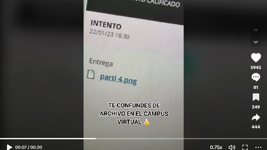 Pantallazo del tiktok de @saaraborr