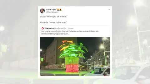 Tuit viral sobre la flor de Pascua de Gan Vía. Tuit viral sobre la flor de Pascua de Gan Vía.