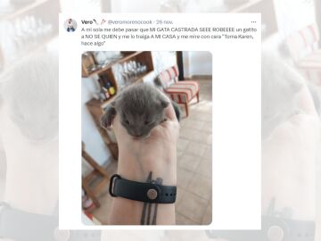 Tuit viral sobre la gata que ha tra&iacute;do a un cachorro.