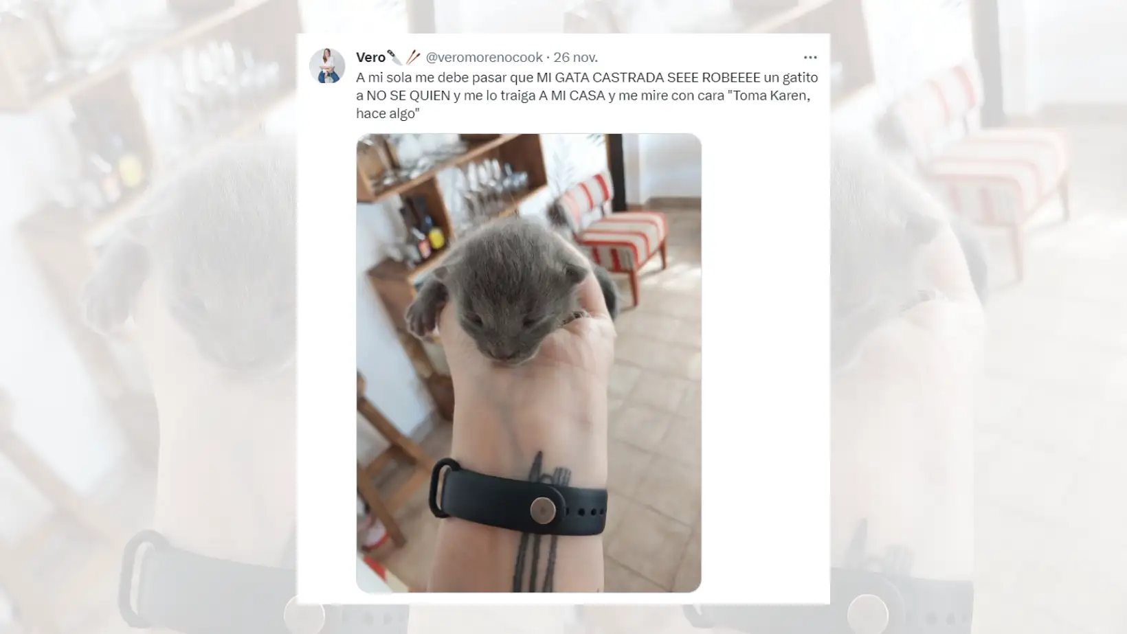 Tuit viral sobre la gata que ha traído a un cachorro.