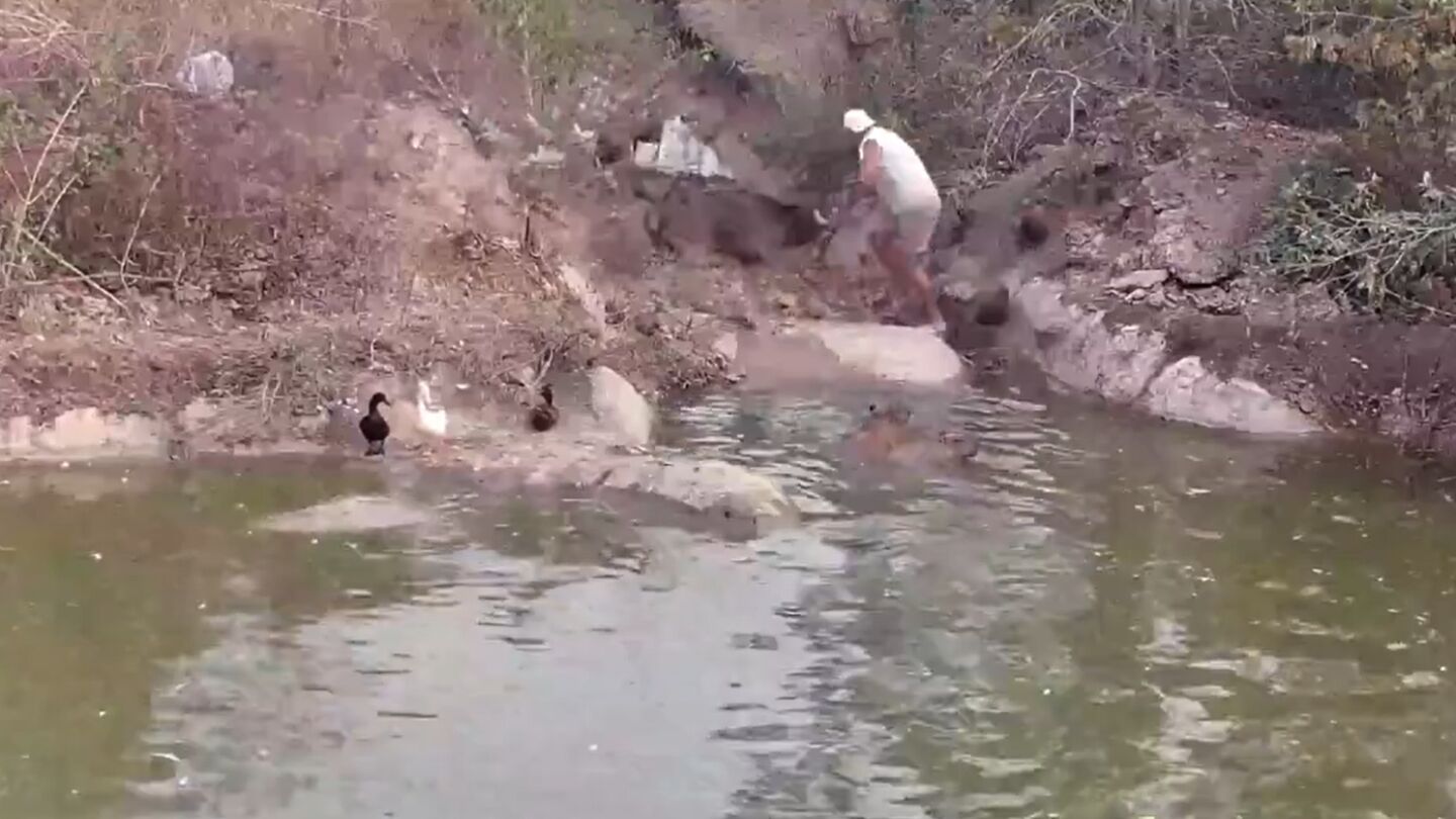 El v&iacute;deo del ataque.