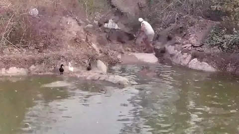 El vídeo del ataque. El vídeo del ataque.