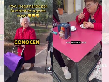 TikTok viral de DonXuerte, en el que pregunta por Dumbledore a personas mayores.