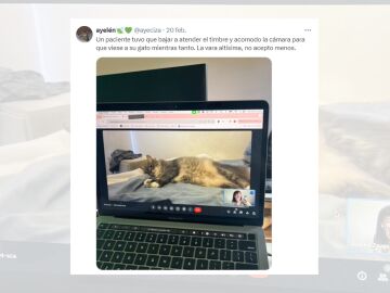 Tuit viral sobre el paciente que puso a su gato frente a la c&aacute;mara durante una videollamada.