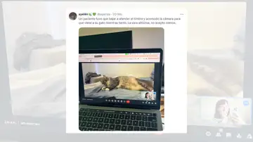 Tuit viral sobre el paciente que puso a su gato frente a la cámara durante una videollamada.