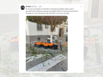 Tuit viral sobre las naranjas amargas de Sevilla.