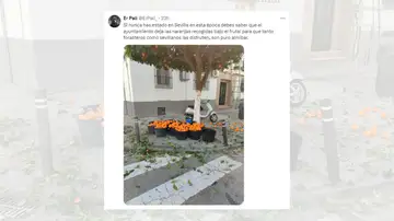 Tuit viral sobre las naranjas amargas de Sevilla.