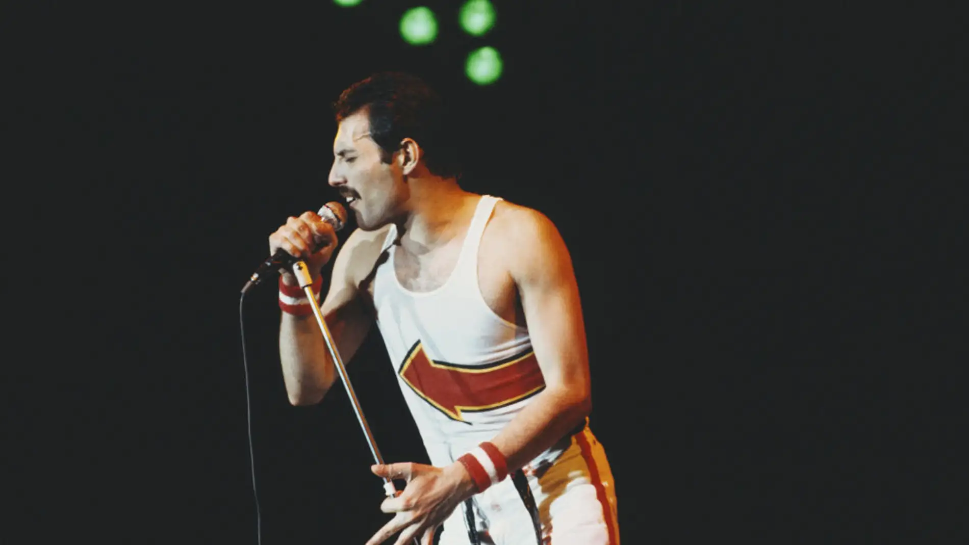 Imagen de archivo de Freddie Mercury