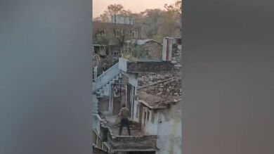 Residentes ahuyentan al leopardo que hirió a cinco personas en la India