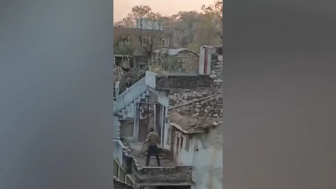 Residentes ahuyentan al leopardo que hirió a cinco personas en la India Residentes ahuyentan al leopardo que hirió a cinco personas en la India