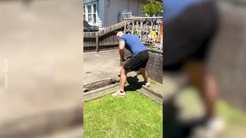 Una pareja se lleva una gran sorpresa al excavar un árbol Una pareja se lleva una gran sorpresa al excavar un árbol: "Nunca te creeras lo que encontramos en nuestro jardín"