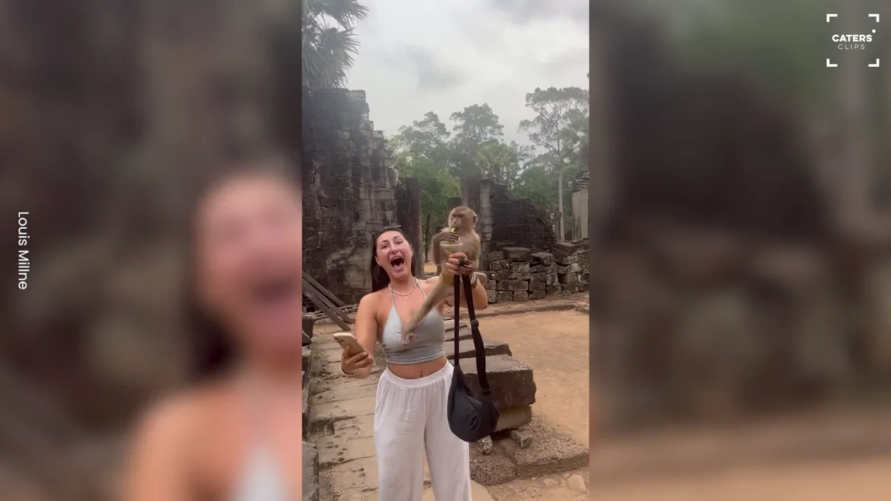 Un tiktoker graba el momento en que un mono trepa encima de su amiga para robarle su t&eacute; helado
