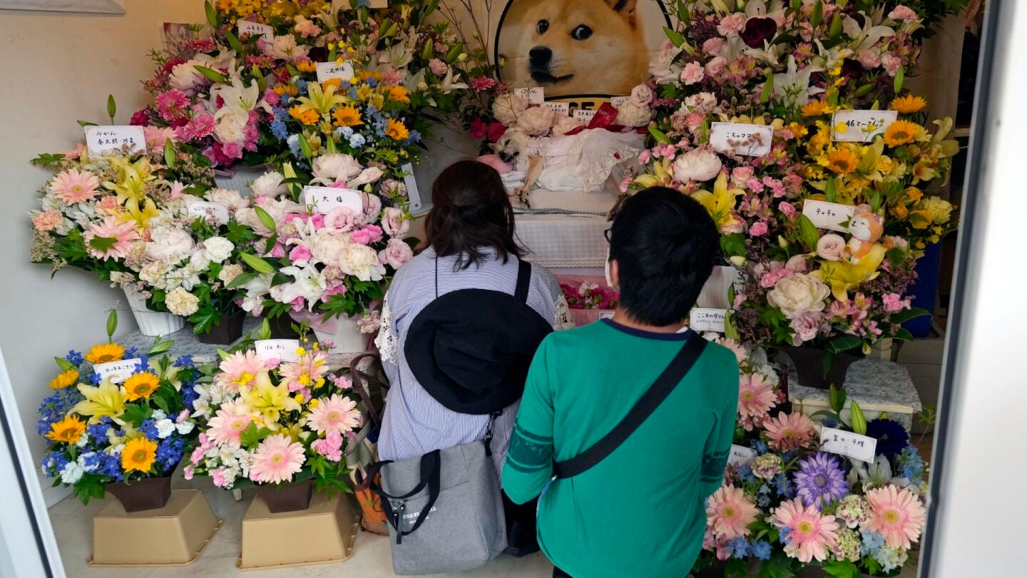 Muere a los 18 a&ntilde;os Kabosu