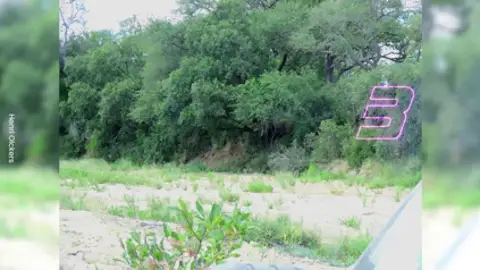 ¿Eres capaz de encontrar al leopardo durmiendo la siesta en esta foto? ¿Eres capaz de encontrar al leopardo durmiendo la siesta en esta foto?