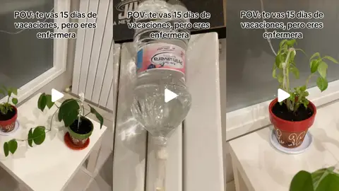 Una enfermera se vuelve viral por su invento para regar las plantas cuando se va de vacaciones Una enfermera se vuelve viral por su invento para regar las plantas cuando se va de vacaciones