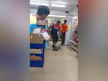 Atrapan a un lagarto que intentaba escapar de un perro escondiéndose en un supermercado