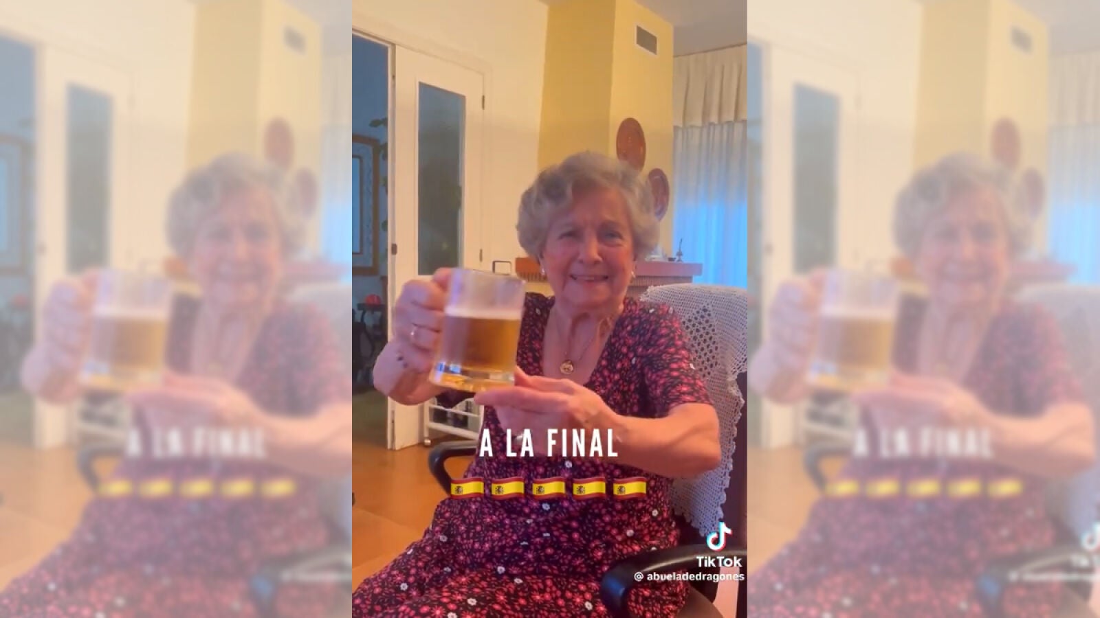 Así es la reacción que ha enamorado a todo el mundo de una abuela andaluza a la victoria de España sobre Francia 