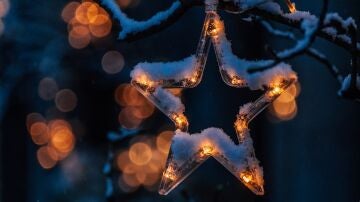 Estrella de Navidad.