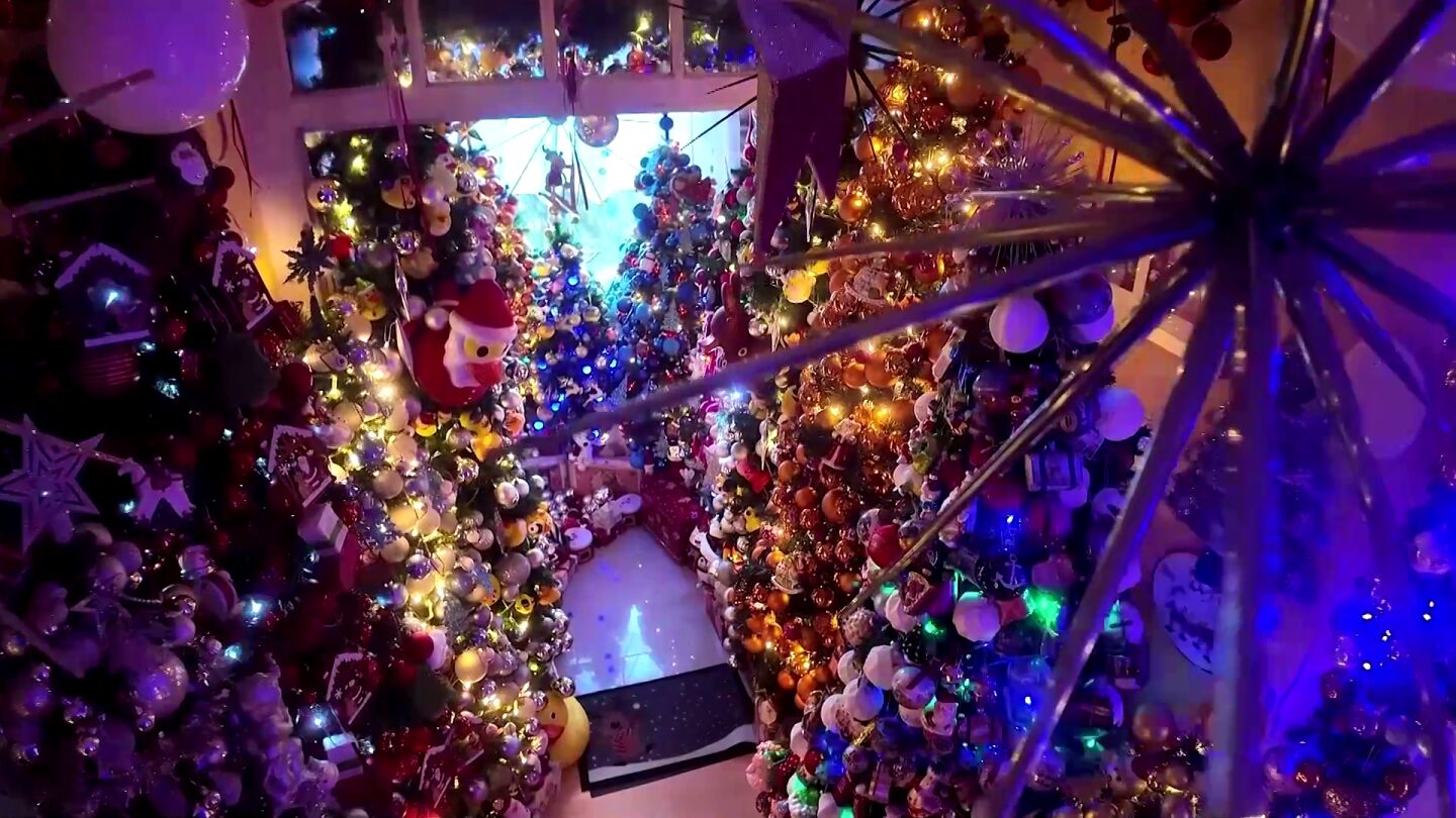 605 &aacute;rboles de Navidad en su casa