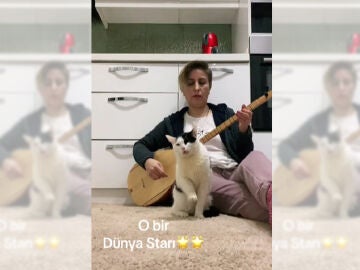 Imagen del v&iacute;deo viral