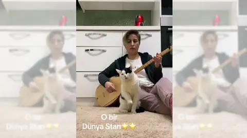 Imagen del vídeo viral Imagen del vídeo viral