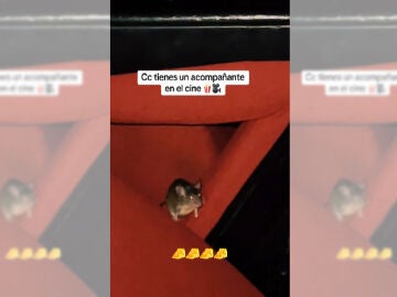 Imagen del v&iacute;deo viral