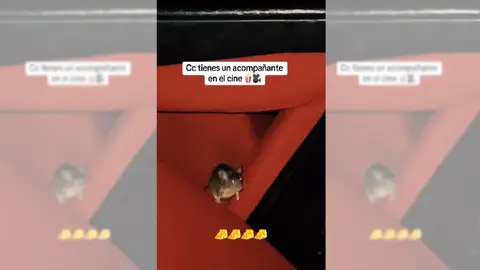 Imagen del vídeo viral Imagen del vídeo viral