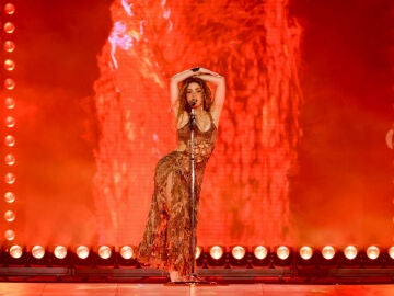 Shakira durante una actuaci&oacute;n en Brasil