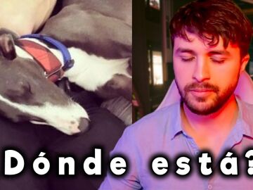 Miniatura del v&iacute;deo de Dalas
