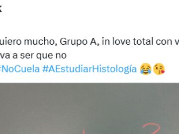 Una profesora ense&ntilde;a el mensaje que le han escrito sus alumnos en la pizarra tras una baja y todos aplauden