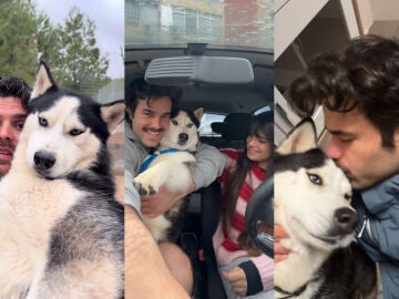 La historia de Krilin y Peldanyos