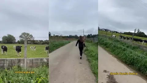 Dos chicas aprenden a llamar a las vacas y se arrepienten al instante Dos chicas aprenden a llamar a las vacas y se arrepienten al instante