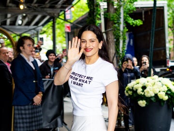 Rosal&iacute;a llegando a su hotel en Nueva York