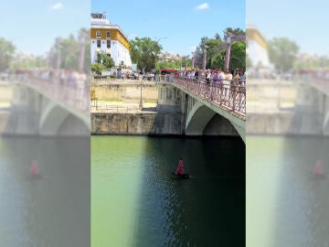 Imagen del v&iacute;deo viral