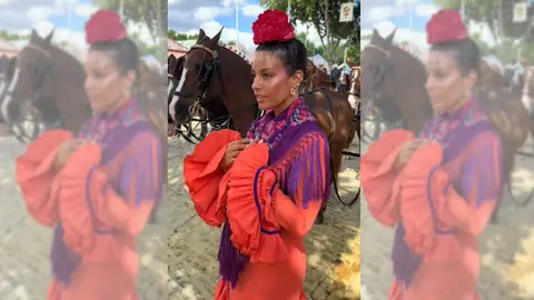 Imagen del vídeo de _palomareina_ Imagen del vídeo de _palomareina_