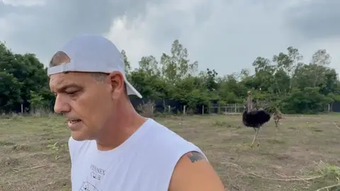 Miniatura de un vídeo de Santuario Libertad Miniatura de un vídeo de Santuario Libertad