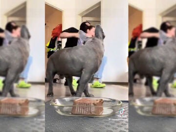 Imagen del v&iacute;deo viral