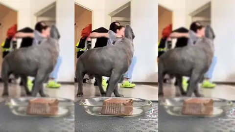 Imagen del vídeo viral Imagen del vídeo viral