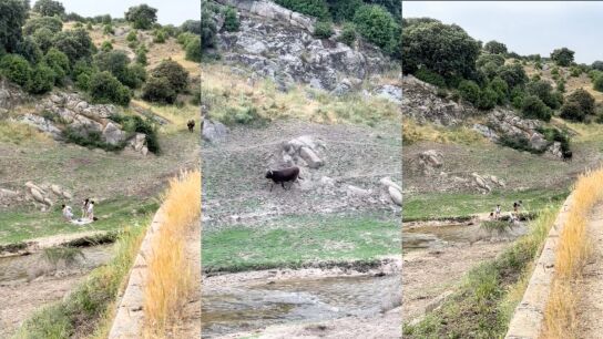 El susto que se llevaron cuatro j&oacute;venes al hacer un picnic en el campo
