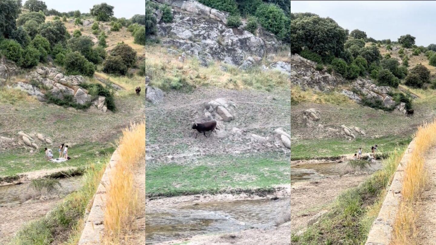 El susto que se llevaron cuatro j&oacute;venes al hacer un picnic en el campo