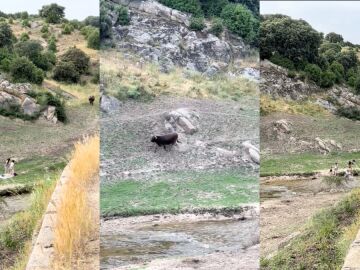 El susto que se llevaron cuatro j&oacute;venes al hacer un picnic en el campo