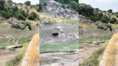 El susto que se llevaron cuatro jóvenes al hacer un picnic en el campo: 